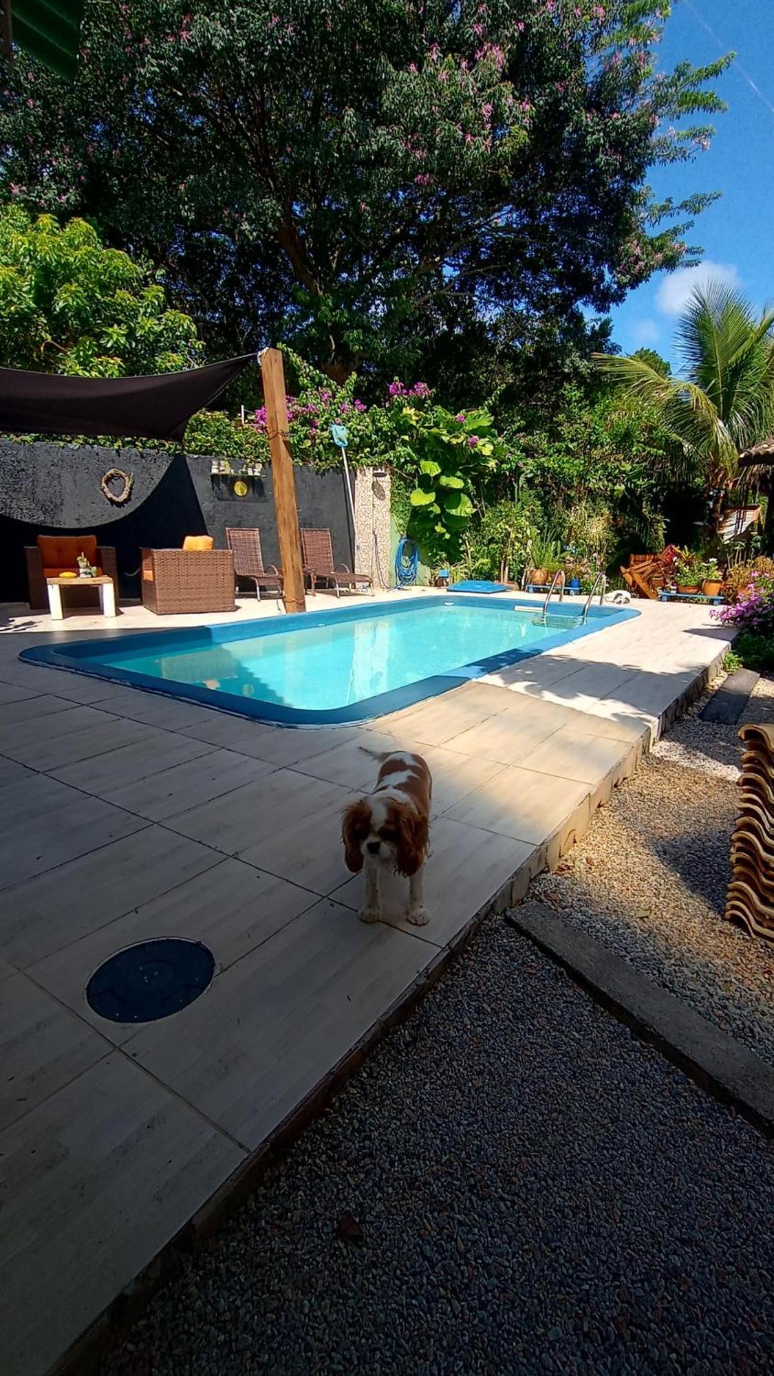 Pousada Zaua Guest House Florianópolis Екстериор снимка